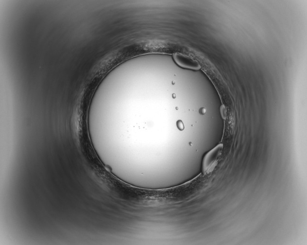 X0000096970732200802221402