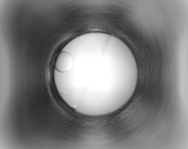 X0000096970734200802221402