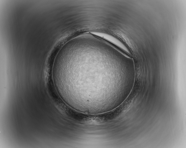 X0000096970736200802221402