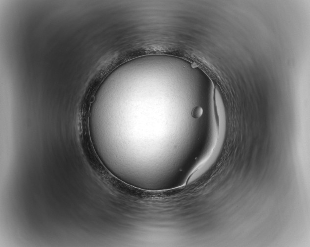 X0000096970738200802221402