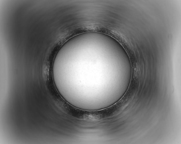 X0000096970739200802221402