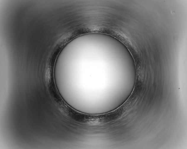 X0000096970740200802221402