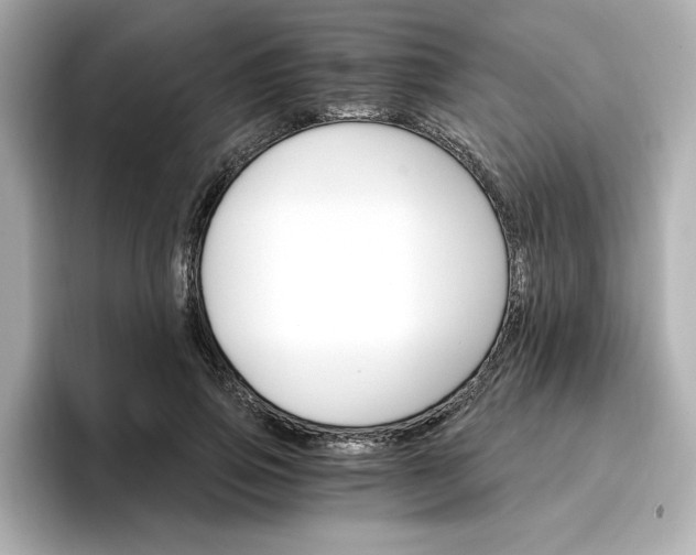 X0000096970741200802221402