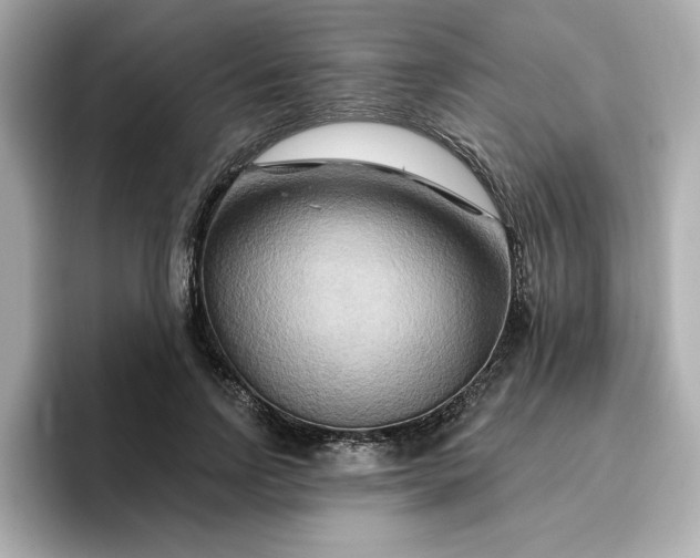 X0000096970742200802221402