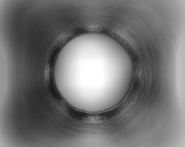 X0000096970744200802221402