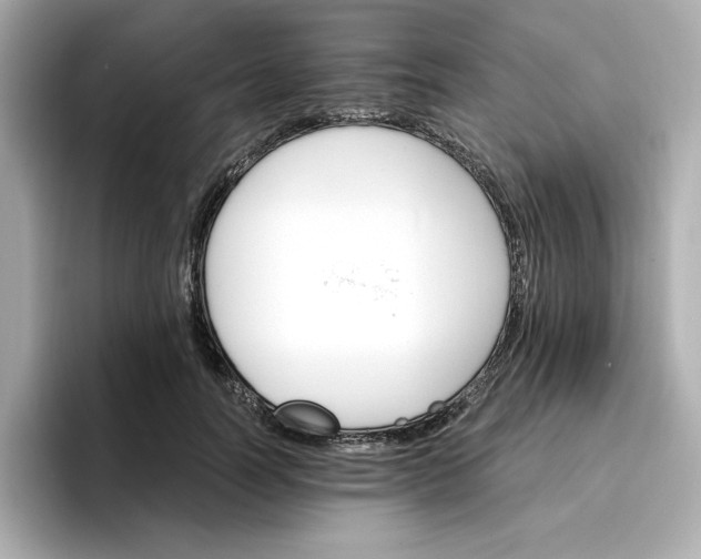 X0000096970746200802221402