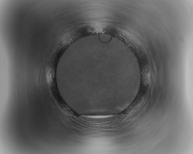 X0000096970747200802221402