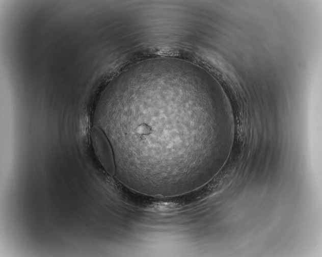 X0000096970748200802221402