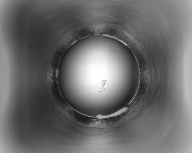 X0000096970750200802221402