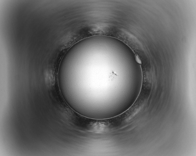 X0000096970751200802221402