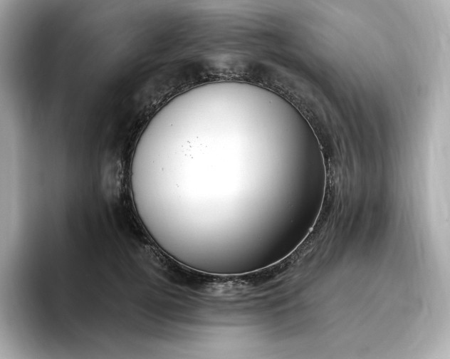 X0000096970752200802221402