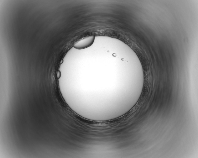 X0000096970754200802221402