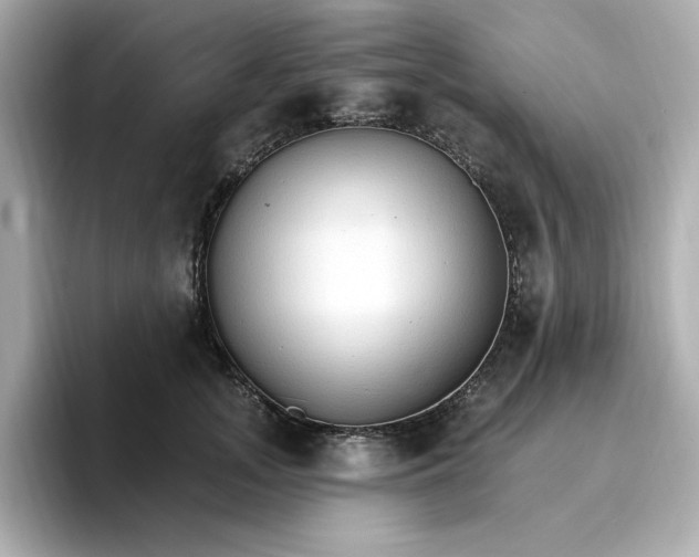 X0000096970755200802221402