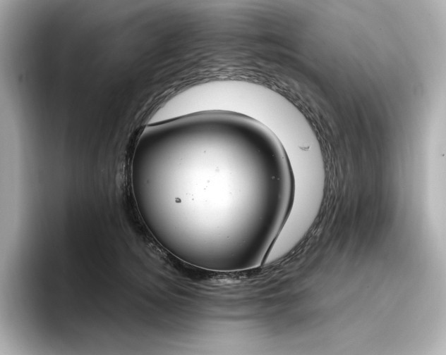 X0000096970756200802221402