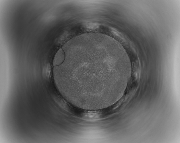 X0000096970758200802221402