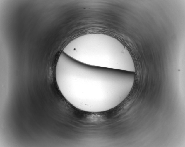 X0000096970759200802221402