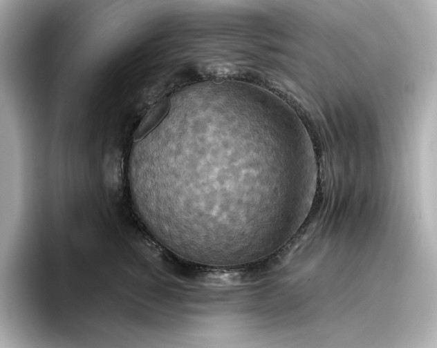 X0000096970760200802221402