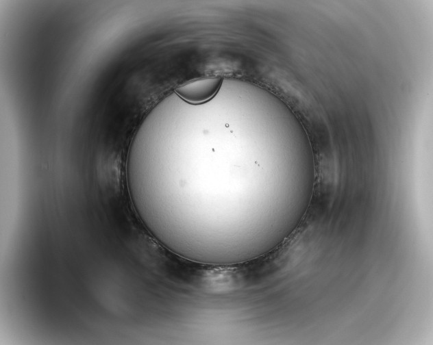 X0000096970761200802221402