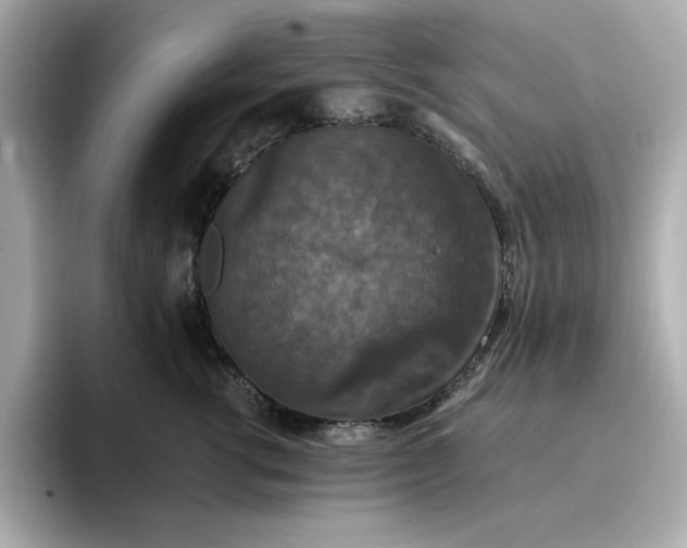 X0000096970762200802221402