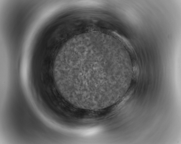 X0000096970765200802221402