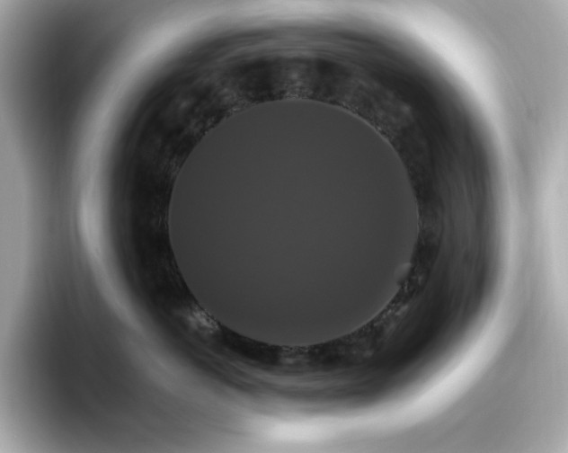 X0000096970766200802221402