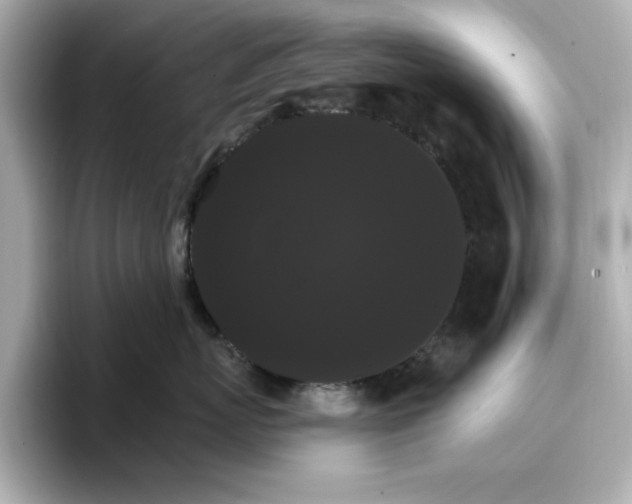 X0000096970767200802221402