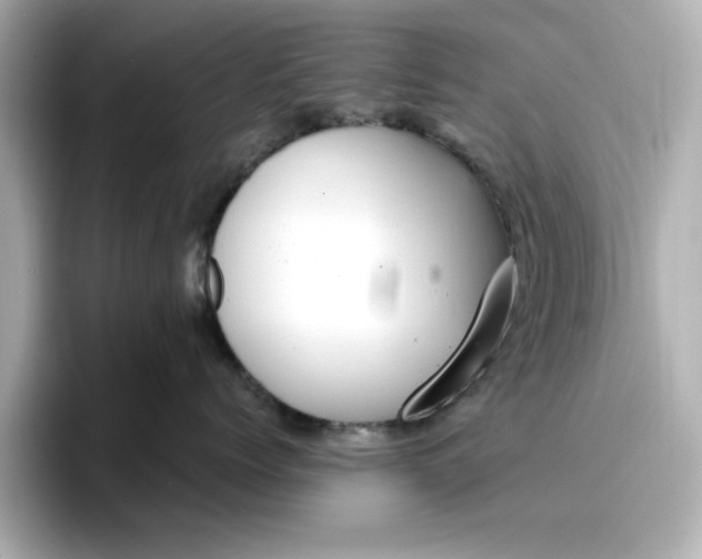 X0000096970768200802221402