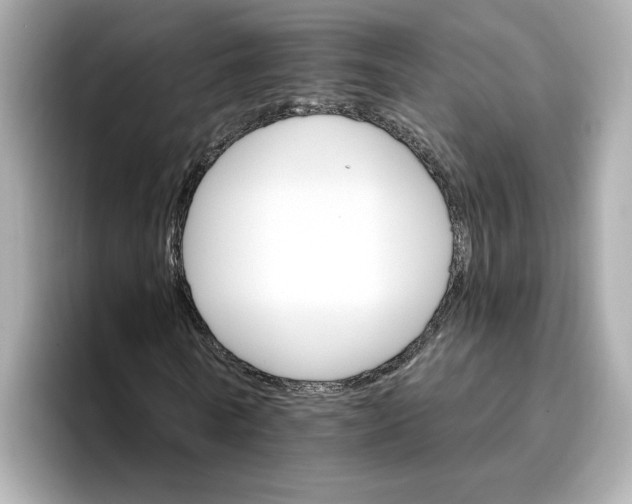 X0000096970770200802221402