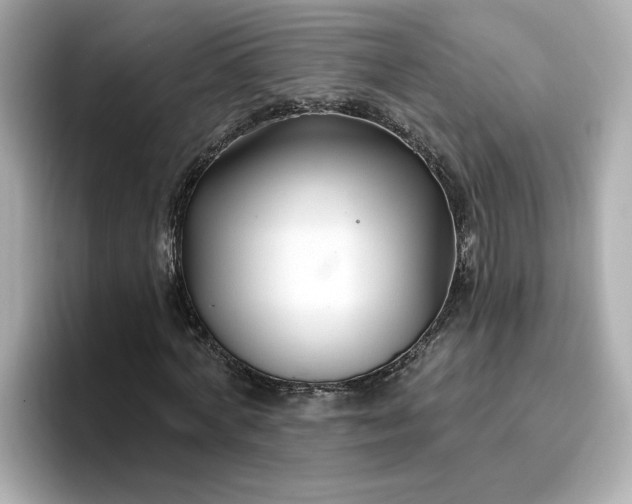 X0000096970772200802221402