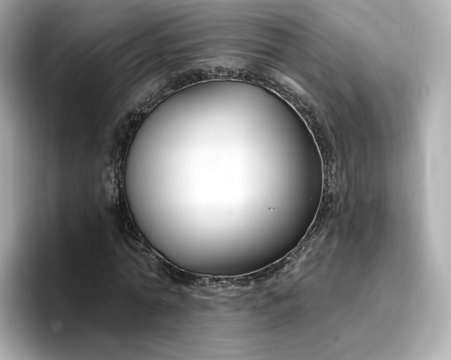 X0000096970774200802221402