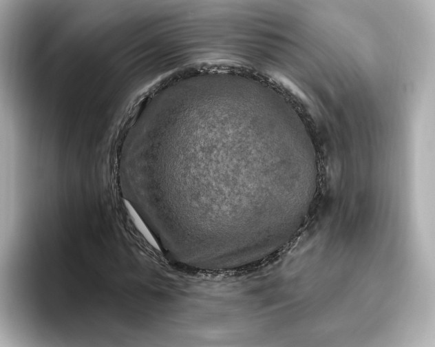 X0000096970775200802221402