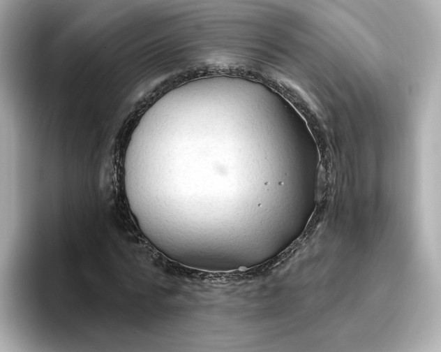 X0000096970776200802221402