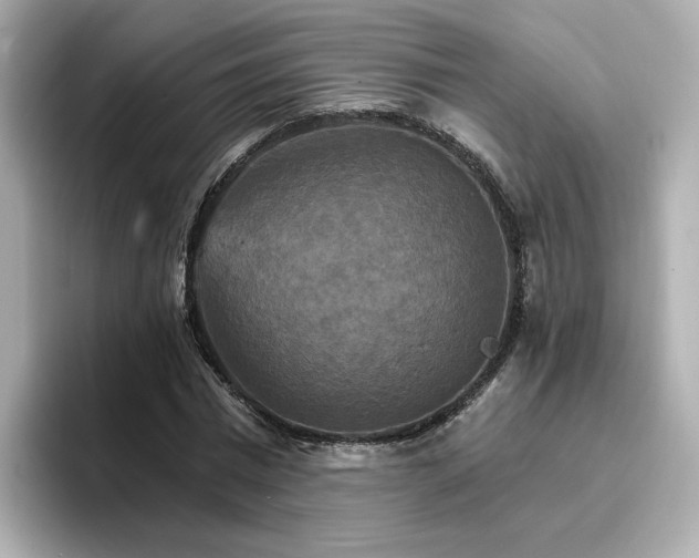 X0000096970777200802221402