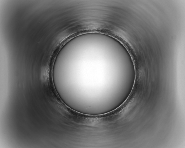 X0000096970778200802221401