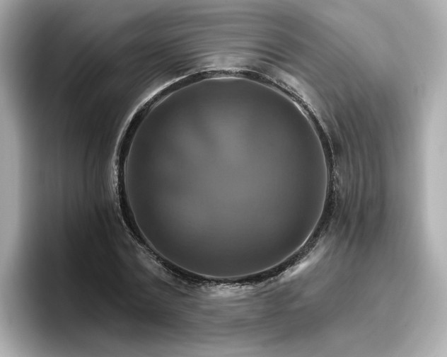 X0000096970779200802221401