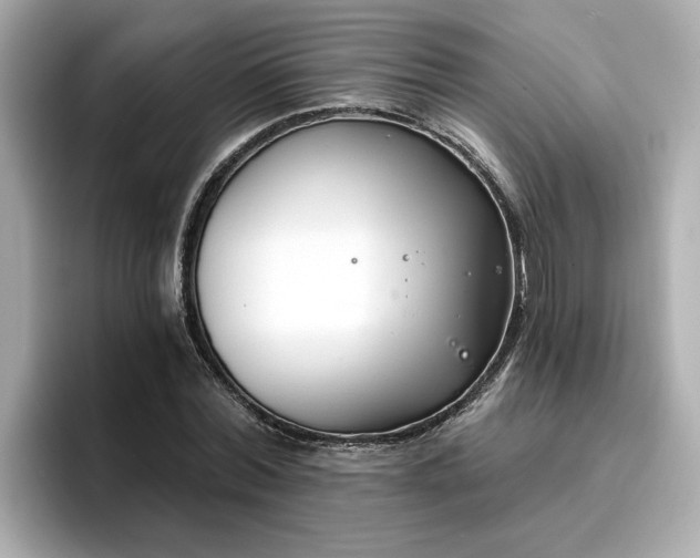 X0000096970780200802221401