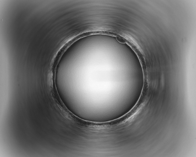 X0000096970781200802221401