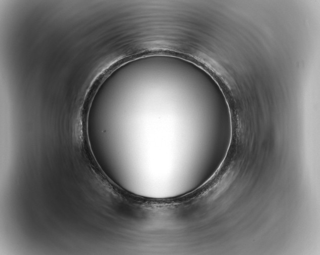 X0000096970782200802221401