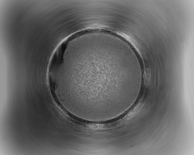 X0000096970783200802221401