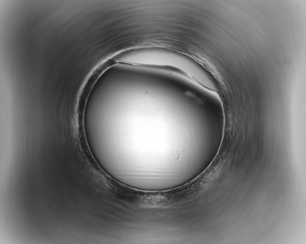 X0000096970784200802221401