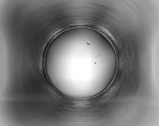 X0000096970786200802221401