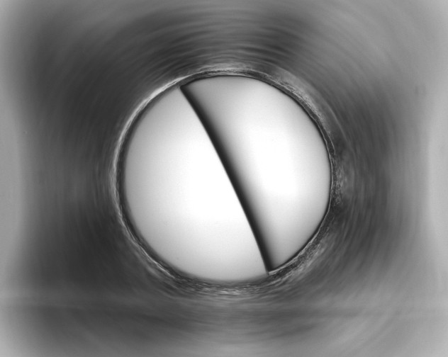 X0000096970787200802221401