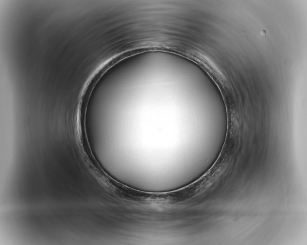 X0000096970788200802221401