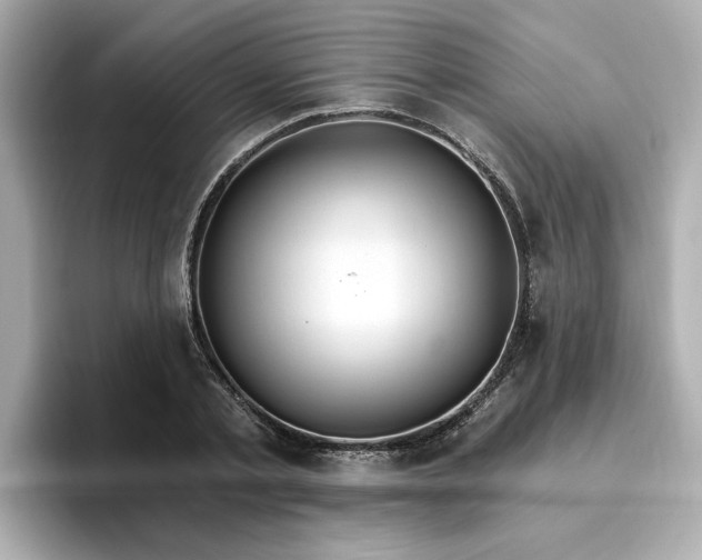 X0000096970789200802221401