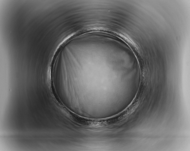 X0000096970790200802221401