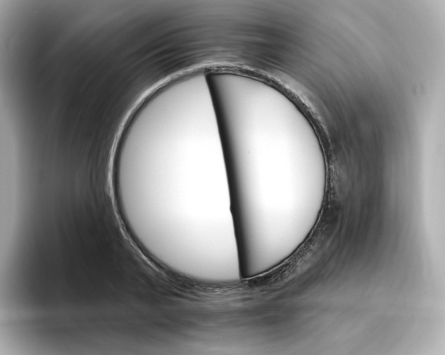 X0000096970791200802221401