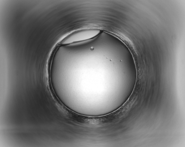 X0000096970792200802221401