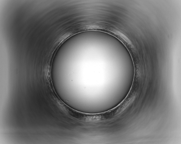 X0000096970793200802221401