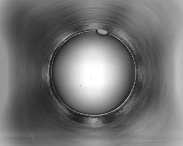 X0000096970794200802221401