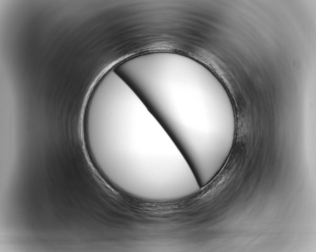 X0000096970795200802221401